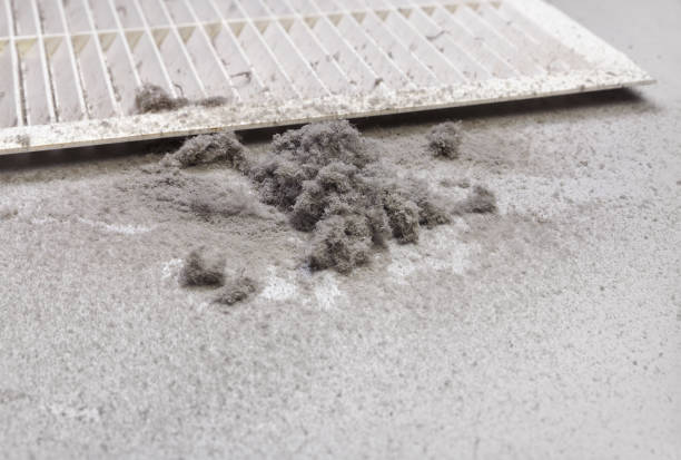 Best Commercial HVAC Duct Cleaning  in Smith Mills, MA